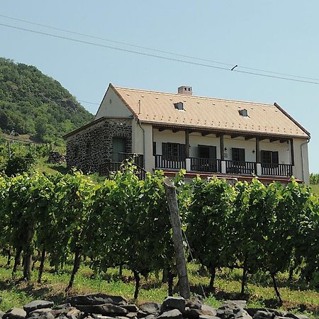 Sed Pince Vendeghaz Aparthotel Somlojeno Exterior foto