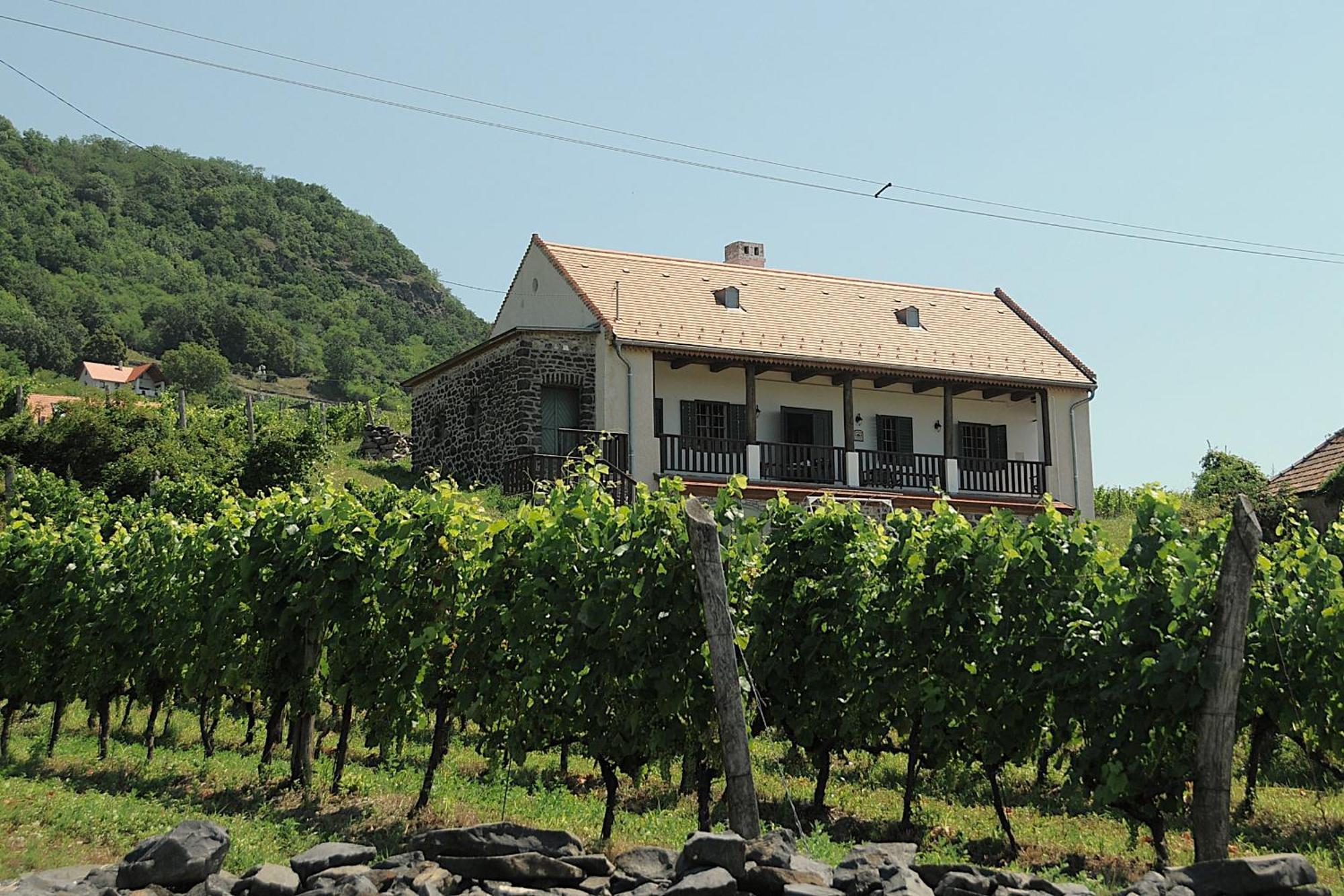 Sed Pince Vendeghaz Aparthotel Somlojeno Exterior foto